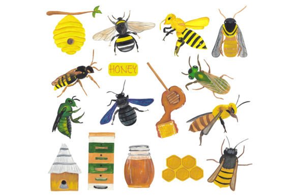 Download Honey &amp; Bee Illustration Set - Bee illustration Collection